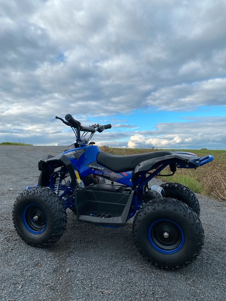 Pocket Bike Quad 1000 Watt 48V NEU Elektro Kinderquad Mini ATV in Aschaffenburg