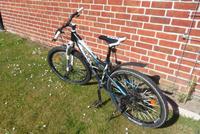 Bulls Mountainbike Sharptail He 26 Duisburg - Duisburg-Mitte Vorschau