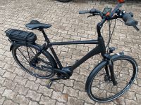 E Fahrrad Giant Kreis Ostholstein - Sereetz Vorschau