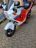 Honda CBR 1000ff SC 21 Rheinland-Pfalz - Mesenich Vorschau