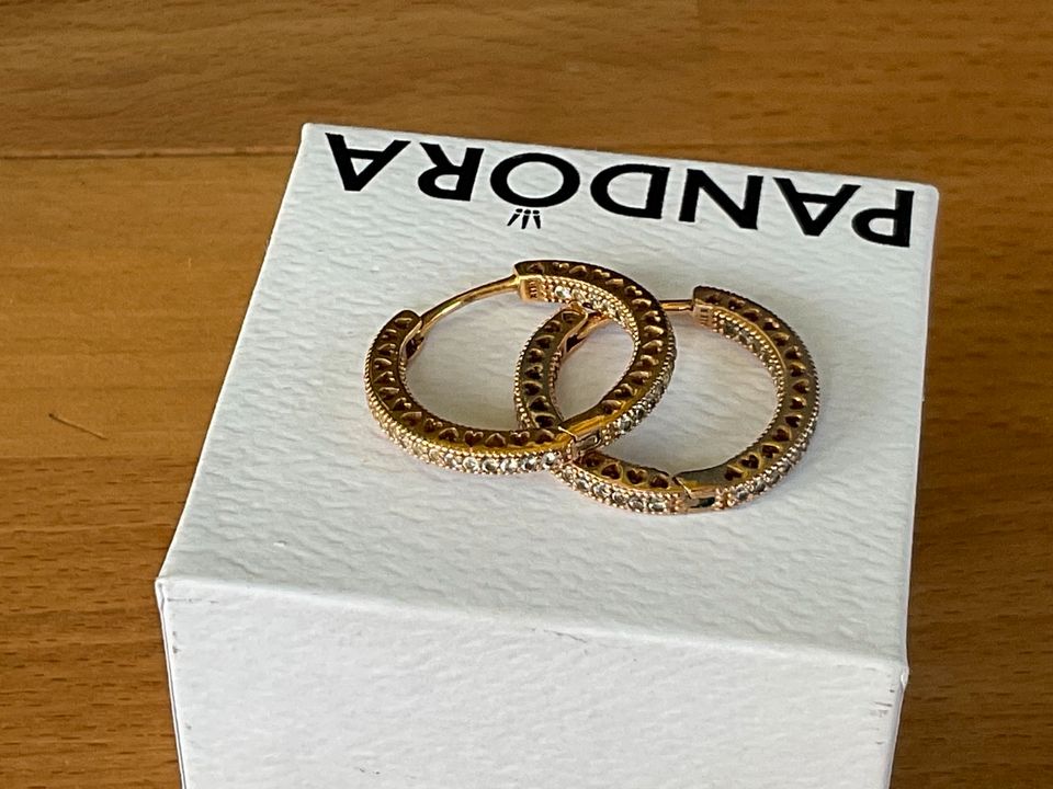 Pandora Ohrringe Gold  Neu in Magdeburg