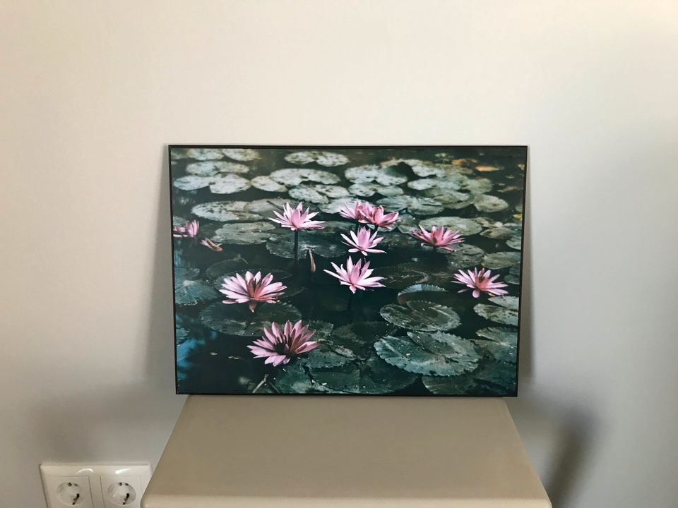 Bild auf Holzrückwand ** Beautiful Pink Lotus Water Lilies Bloom in Lindenberg im Allgäu