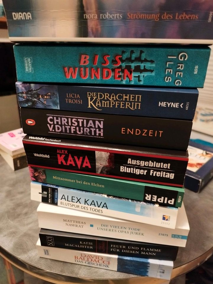 Bücher, Krimi, Thriller, Romane in Büdelsdorf