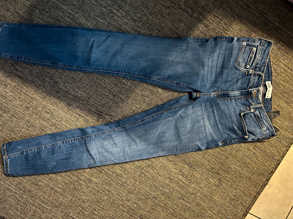 Jeans zara 40 in Brandenburg an der Havel