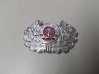 Mützenkokarde, Abzeichen, DDR 47x30 mm., Kokarde Hessen - Schlangenbad Vorschau