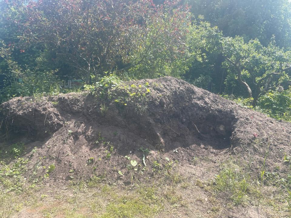 Erde zu verschenken in Brandenburg Falkensee Zu verschenken