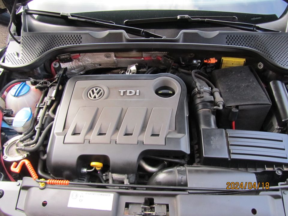 Volkswagen Beetle Lim. Sport Automatik Klima  Tempo Shz VW-S-Heft in Nortorf