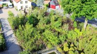 Park, Allee und Gartenbäume Nordrhein-Westfalen - Simmerath Vorschau