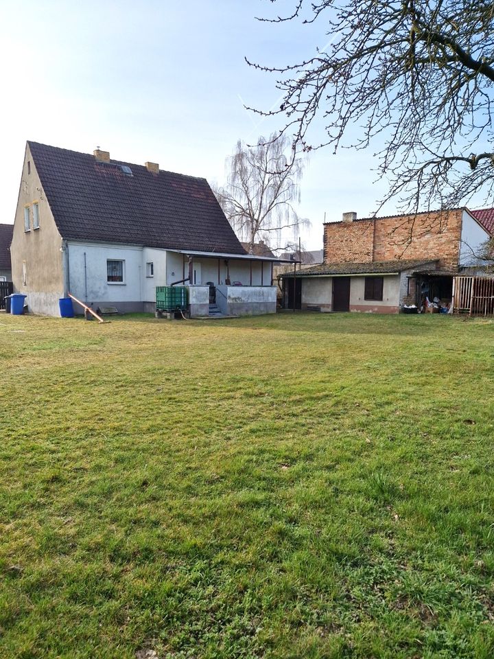 Haus und Hof in Altranft - optimal für Selbstversorger in Bad Freienwalde