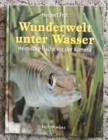 Wunderwelt unter Wasser- Heimische Fische vor der Kamera Thüringen - Tremnitz Vorschau