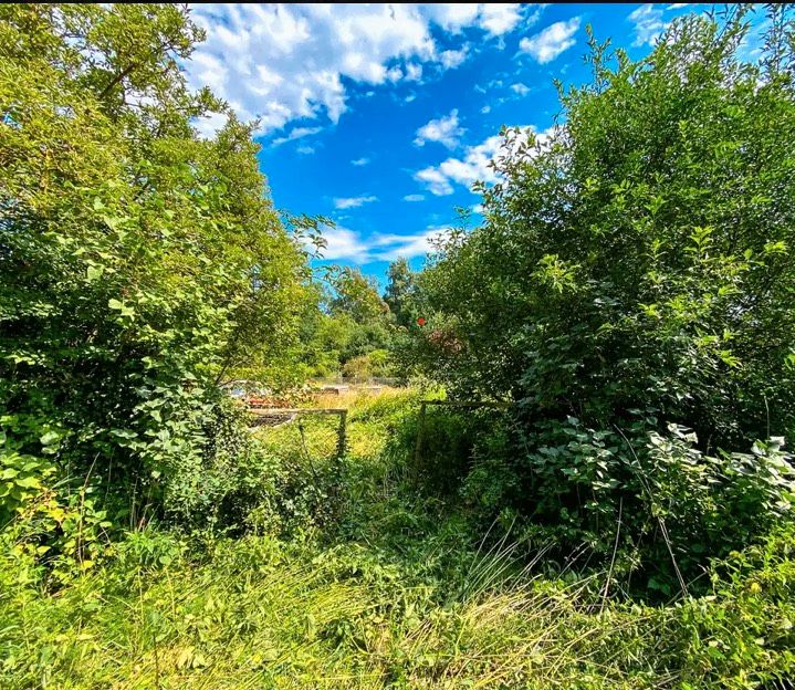 Grundstück in Basdorf / Wandlitz in Berlin