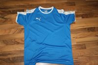 Herren Puma Tricot Fitness Fussball Shirt royal blau gr. L Hessen - Büttelborn Vorschau