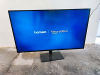 55 Zoll homeX Fernseher TV Hessen - Leun Vorschau