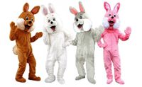 74p Hasen Kostüm Maskottchen Bunny Rabbit Costume cheap günstig Nordrhein-Westfalen - Gevelsberg Vorschau