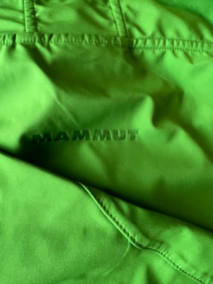 Mammut Ultimate Light SO Hooded Jacket, Herren, XL, Sherwood in Bad Soden am Taunus