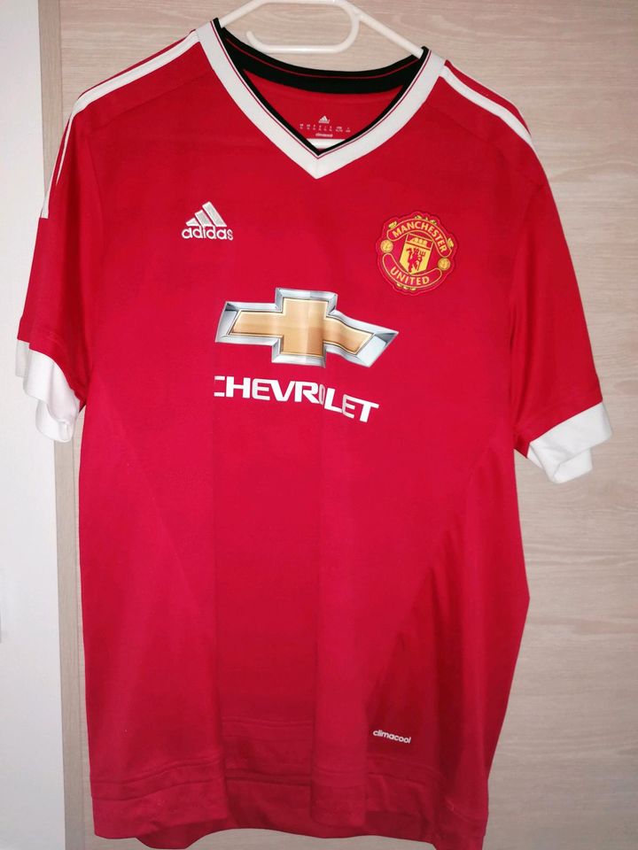 Originale Manchester United Trikots 9 St. XL einige sehr selten in Delitzsch