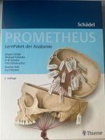 PROMETHEUS LernPaket Anatomie Schädel Berlin - Steglitz Vorschau