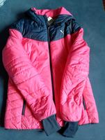 Puma Jacke Damen Hessen - Wiesbaden Vorschau