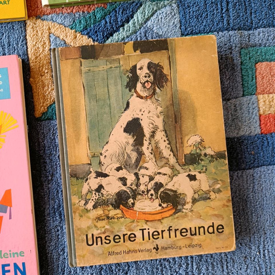 Kinderbücher alt West Germany in Dallgow