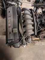 BMW E36 320 e39 520 Motor m52 b20 150Ps Niedersachsen - Eimke Vorschau