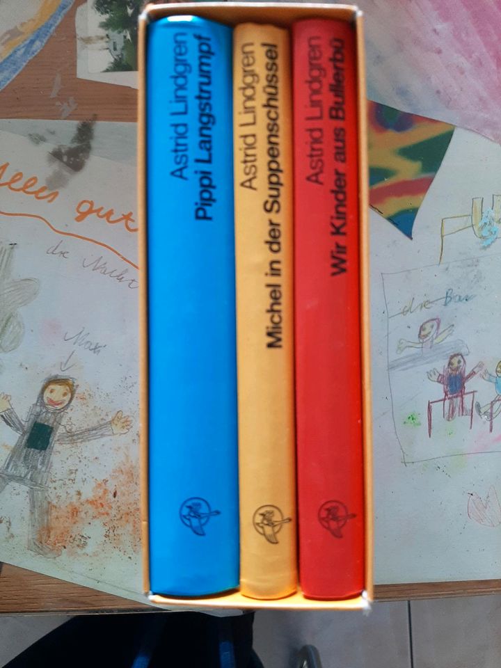 Astrid Lindgren 3 Bücher im Schuber ,Pippi,Michel, die Kinder aus in Baltmannsweiler