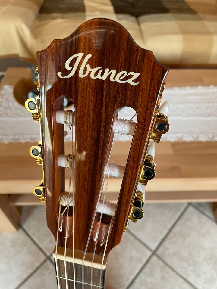 Ibanez AEG 50 N-NT Konzertgitarre in Jülich