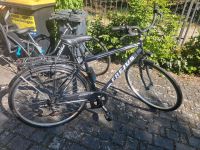 Fahrrad Bastler Herren Brandenburg - Kolkwitz Vorschau
