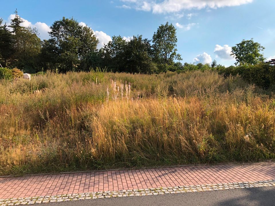 Baugrundstück teilerschlossen ca. 919 qm im Zittauer Gebirge !!! in Waltersdorf