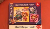 Puzzle Ravensburger  Paw Patrol Baden-Württemberg - Michelbach an der Bilz Vorschau