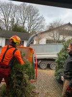 Sturmschäden, Baumfällung , Notdienst,Fällungen ,Baumentfernung Nordrhein-Westfalen - Schermbeck Vorschau