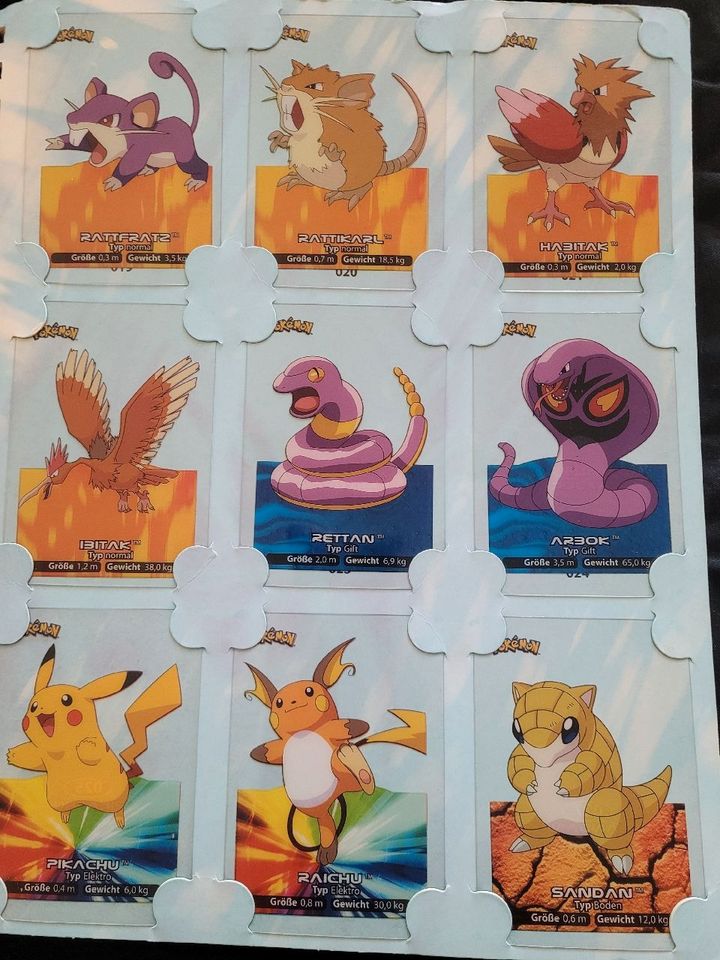 Pokemon Lamincards Collection 1 Generation in Potsdam