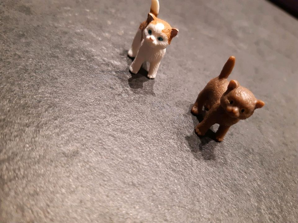 Schleich ** Wellensittich * Eichhörnchen * Esel * Katzen * Lamm in Recklinghausen