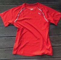 Rotes Puma Running Shirt - Dry Fit - Herren Laufshirt - Gr. L - N Pankow - Prenzlauer Berg Vorschau