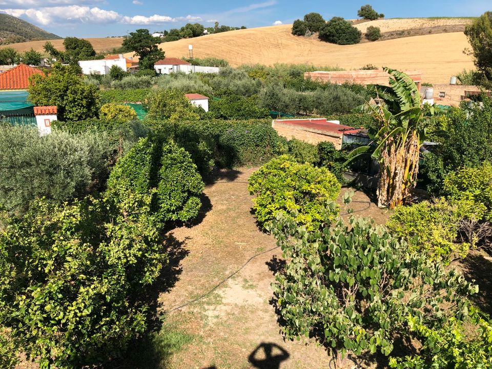 Ferienhaus Villa mit großen Pool Spanien Andalusien in Castrop-Rauxel