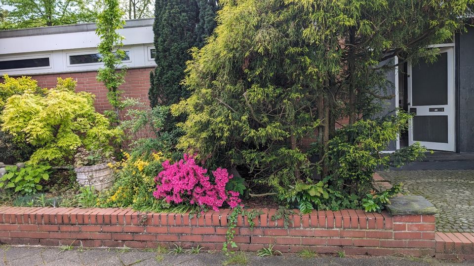 Von Privat:  Bungalow für Familie und Alter mit Gartenparadies in Düsseldorf