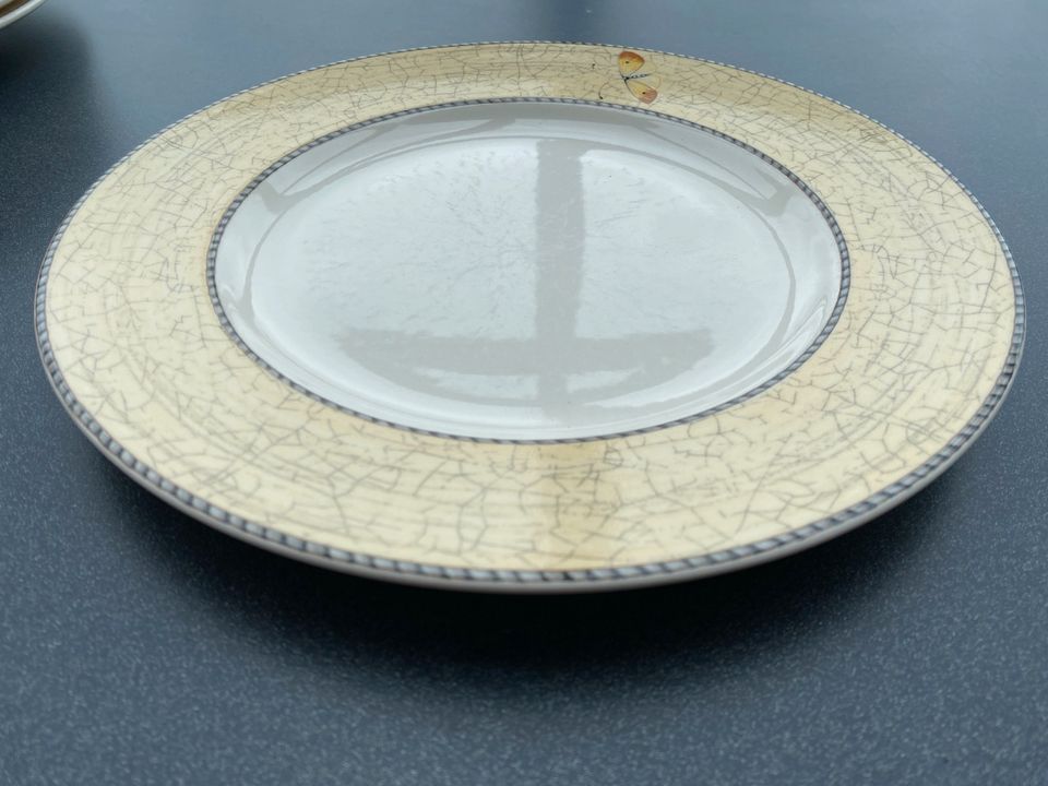 Wedgwood Speiseteller verschiedene Farben 27cm Durchmesser in Niederbergkirchen