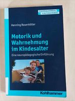 Motorik und Wahrnehmung im Kindesalter Rosenkötter Bayern - Nittendorf  Vorschau