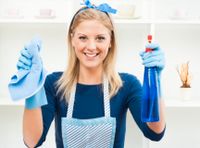 Putzfrau Reinigungskraft Bügelservice Haushaltshilfe Nordrhein-Westfalen - Löhne Vorschau