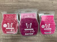 Scentsy Bars Nordrhein-Westfalen - Gladbeck Vorschau