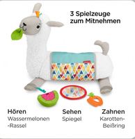 Fisher Price Lama Spielkissen Brandenburg - Frankfurt (Oder) Vorschau