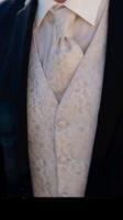 Hochzeitsweste + Plastron Set von DIGEL Nordrhein-Westfalen - Dülmen Vorschau