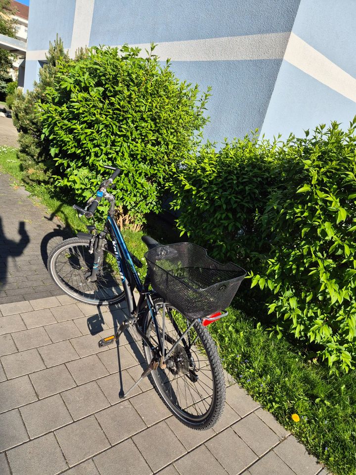 Fahrrad MTB 26 Zoll von Kalkhoff in München