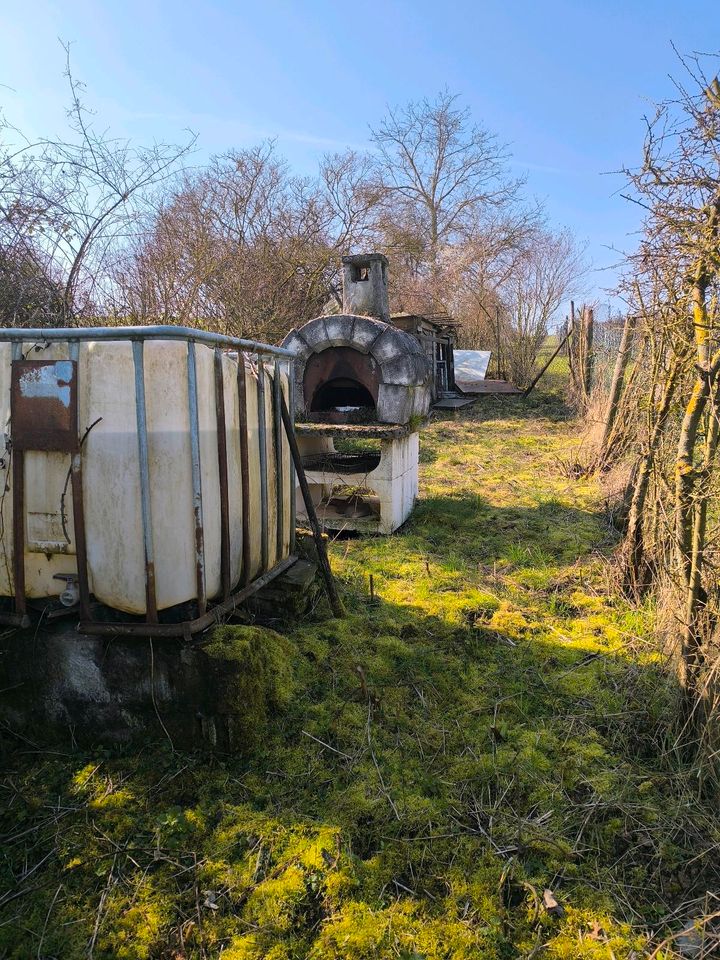 Gartengrundstück in Nierstein