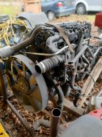MAN Motor D0834L 03 Motor Getriebe seperat Bayern - Emmering Vorschau
