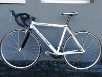 Rennrad Diamondback Senna 28 Zoll 52RH Fahrrad Hessen - Bebra Vorschau