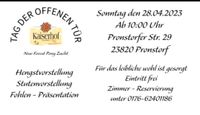 Tag der offenen Tür "New Forest Pony Zucht" Schleswig-Holstein - Pronstorf Vorschau