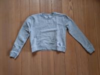 Pullover Pulli Sweatshirt kurz calvin klein jeans Gr. XS Top Sachsen - Breitenbrunn Vorschau