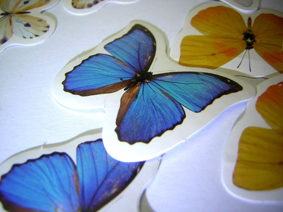 Scrapbook Washi Kawaii Aufkleber Box Schmetterlinge 44 x 44 mm in Fischbach