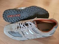 Neuwertiger Geox Respira Snake Gr. 43 in Beige Herrenschuh Hessen - Willingen (Upland) Vorschau