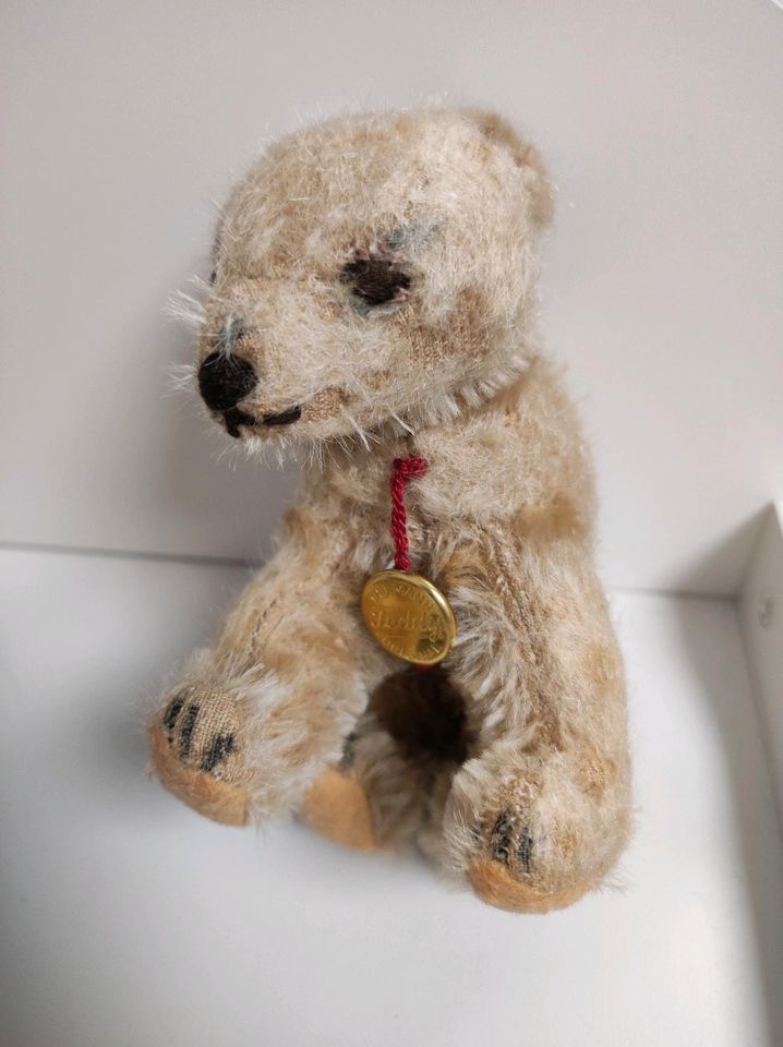 Kleiner Hermann Teddy in Rieseby